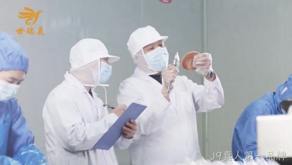 过程检验