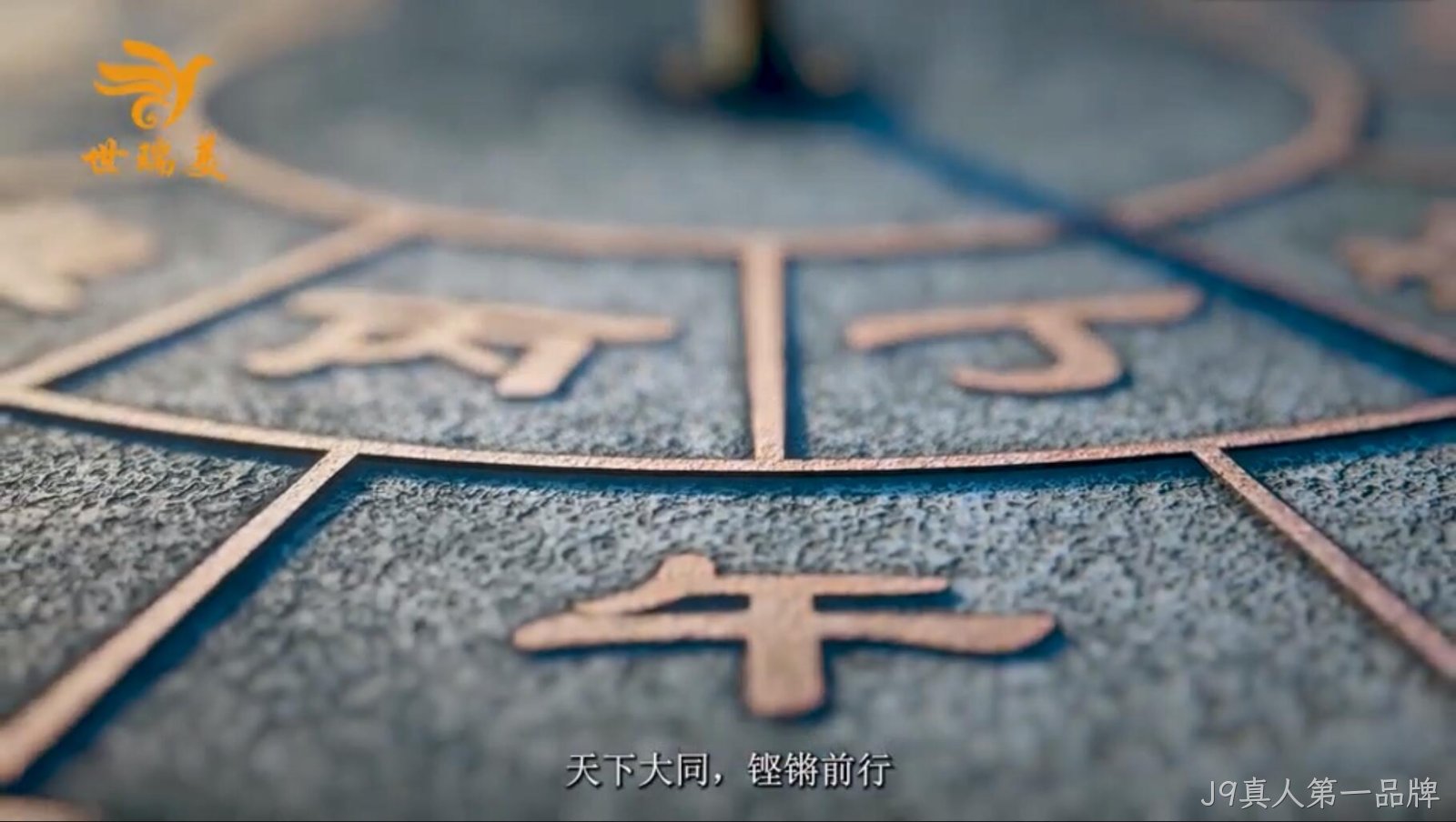 视频标题