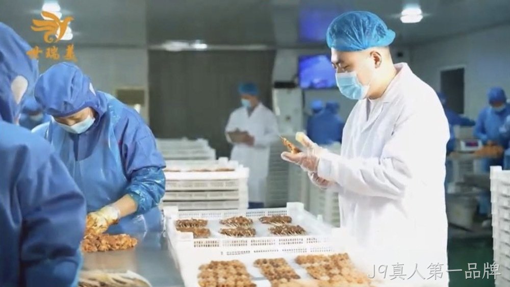 过程检验